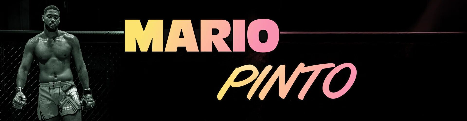 Mario Pinto Banner